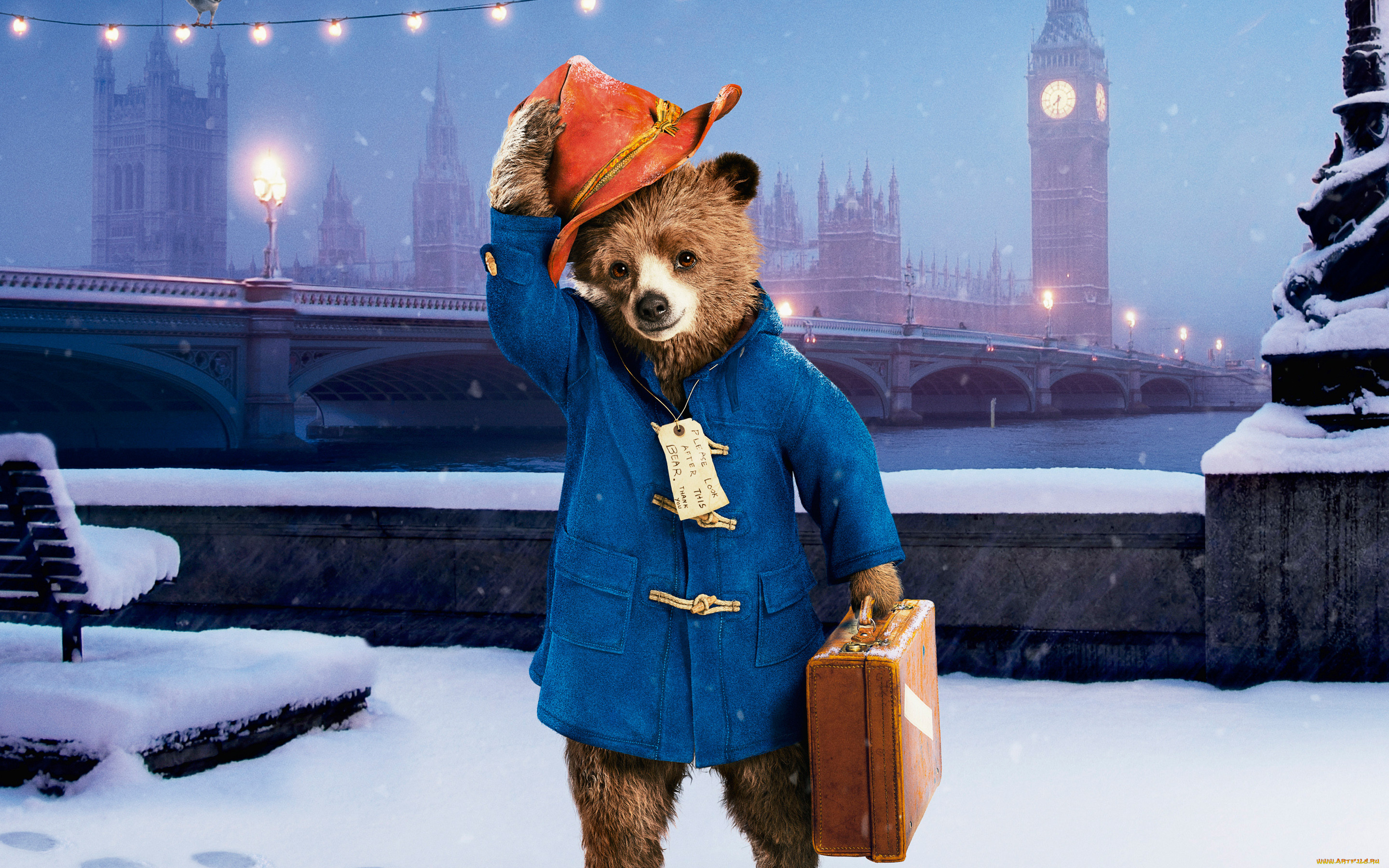  , paddington